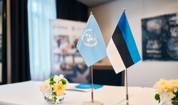 Флажки ООН и Эстонии
