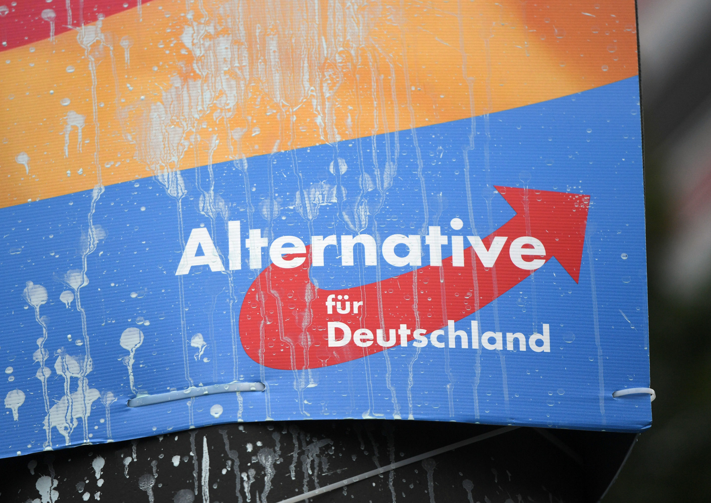 Агитационный плакат немецкой партии "Альтернатива для Германии" (AfD)
