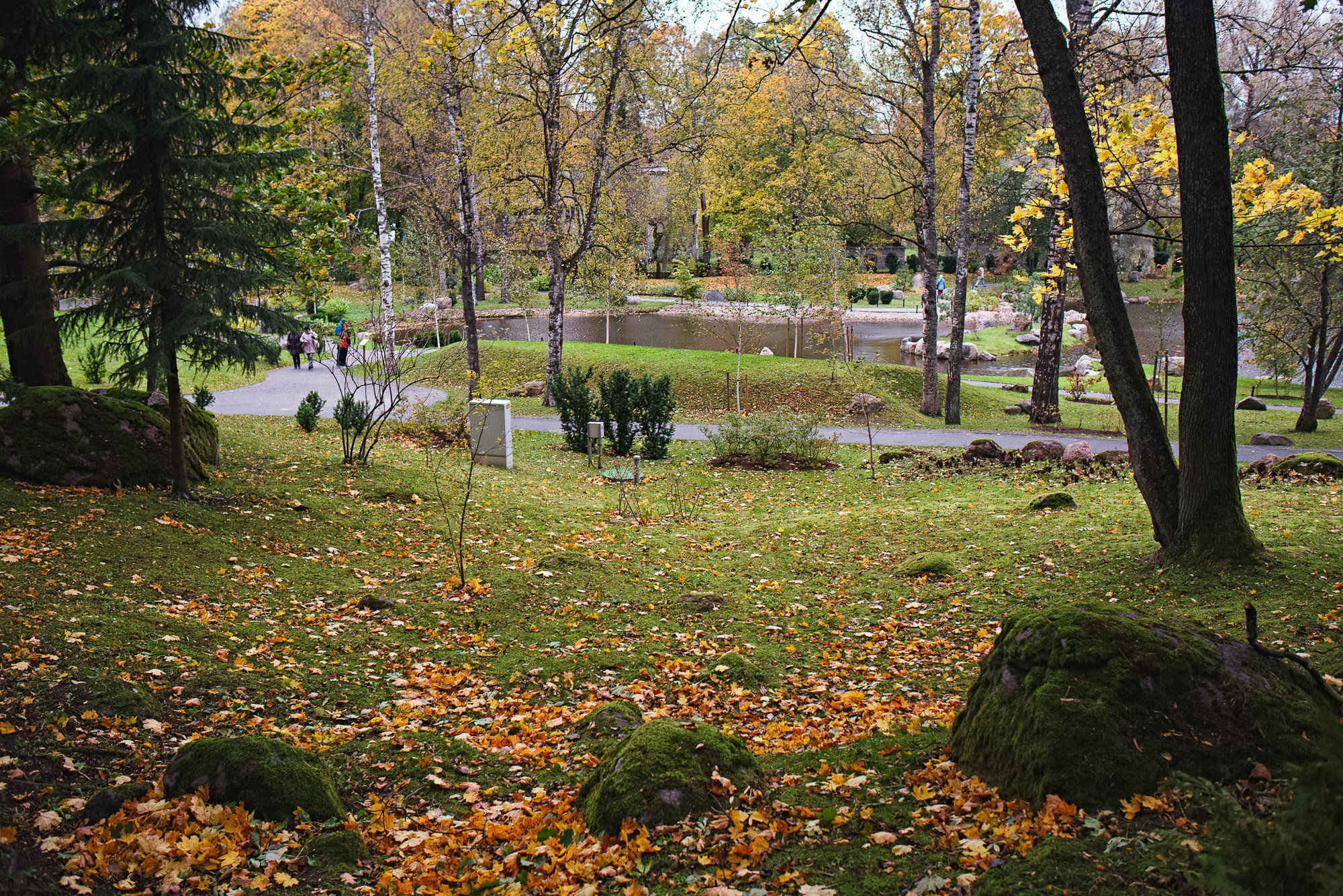 Осень в Японском саду парка Кадриорг