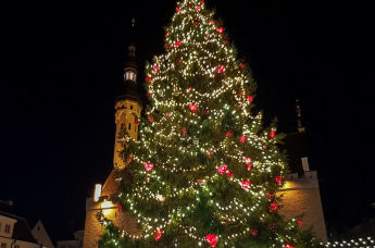 Рождественская ёлка на Ратушной площади Таллинна
