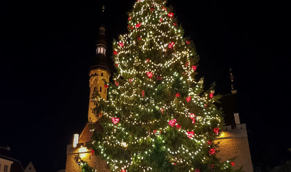 Рождественская ёлка на Ратушной площади Таллинна