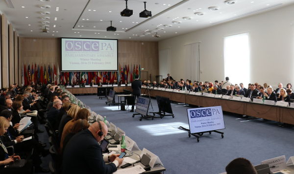 Зимнее заседание Парламентской ассамблеи ОБСЕ в Вене, 20 февраля 2020 года
