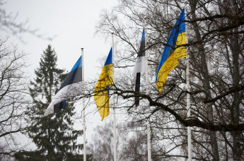 Флаги Эстонии и Украины