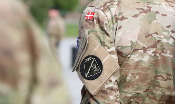 Эмблема роты "Видар" датского контингента в Тапа 