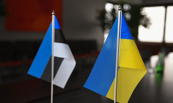 Флажки Эстонии и Украины