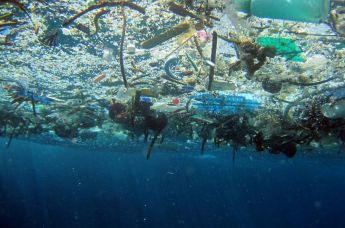 Мусор в Большом тихоокеанском мусорном пятне