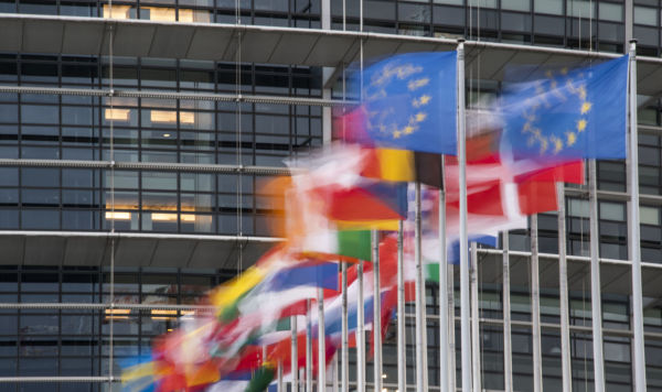 Флаги членов Европейского Союза  перед зданием Европейского парламента в Страсбурге