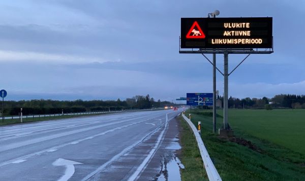 Предупреждающий знак о животных на дороге