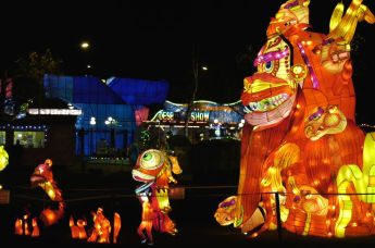 Драконы в Таллине! В столице Эстонии зажглись гигантские китайские фонари