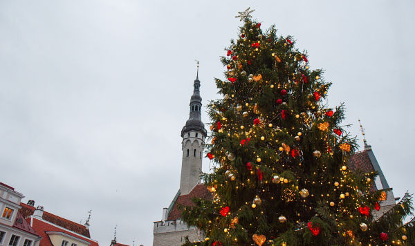 Новогодняя елка на Ратушной площади в Таллине, архивное фото