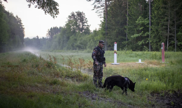 Сотрудник погранохраны Литвы патрулирует границу с Белоруссией