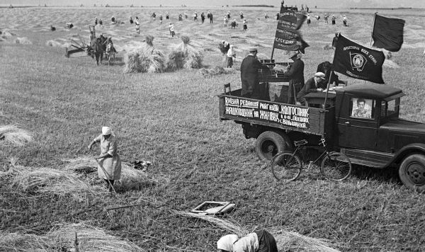 Работники колхоза имени Ленина Жажковского района убирают урожай, 17 августа 1933