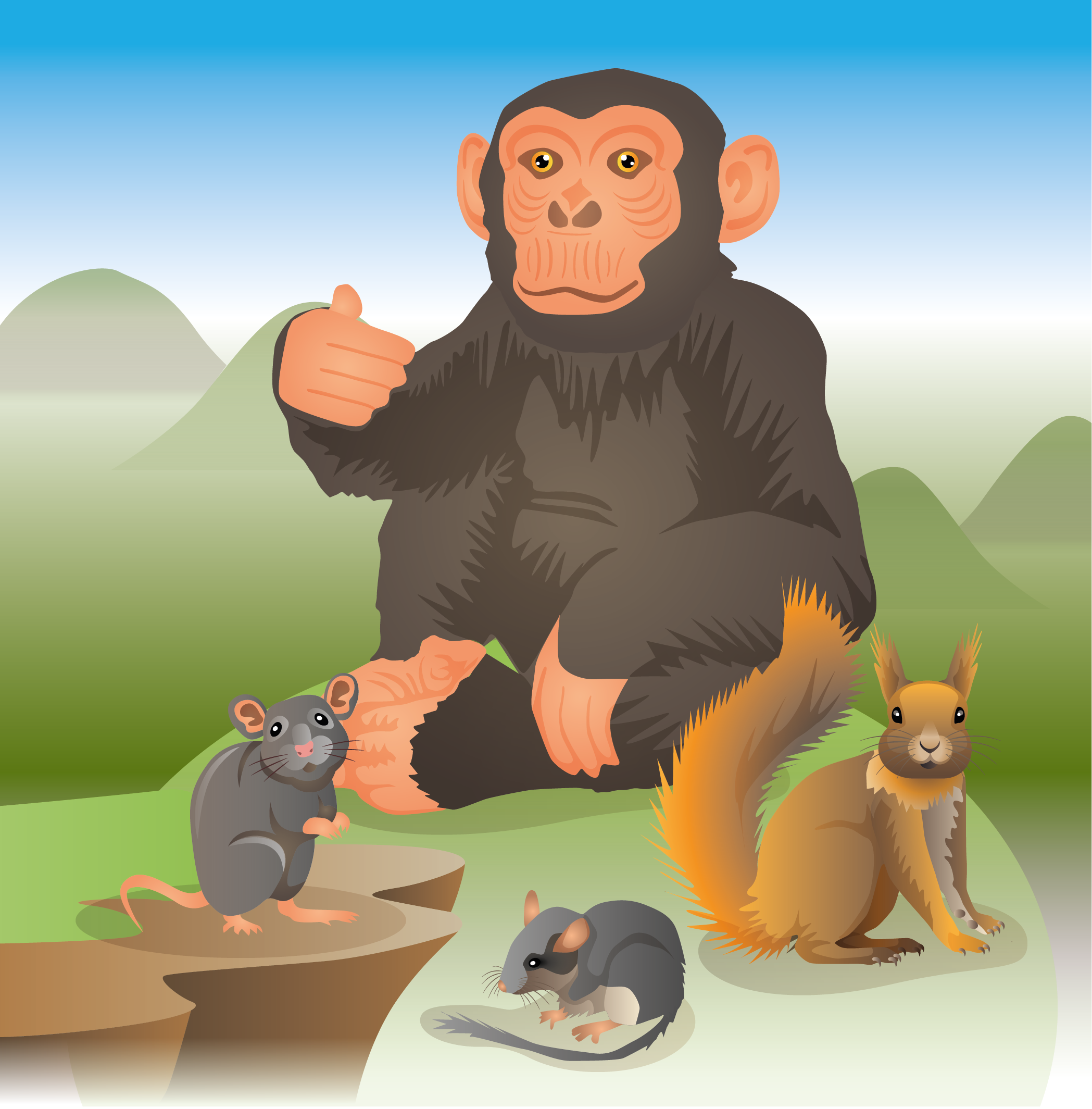 Оспа обезьян: где обнаружена и чем опасна