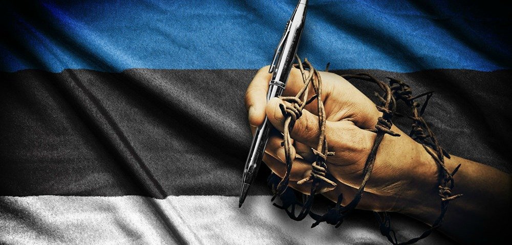 свобода слова Эстония флаг