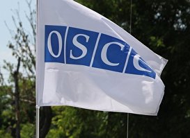Флаг на автомобиле кортежа ОБСЕ
