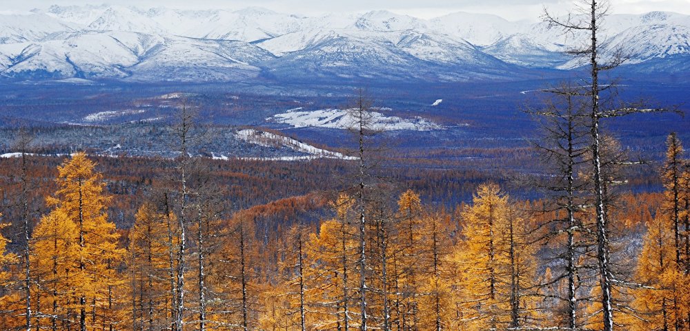 Вид на долину реки Олондо в Олекминском районе республики Саха (Якутия)