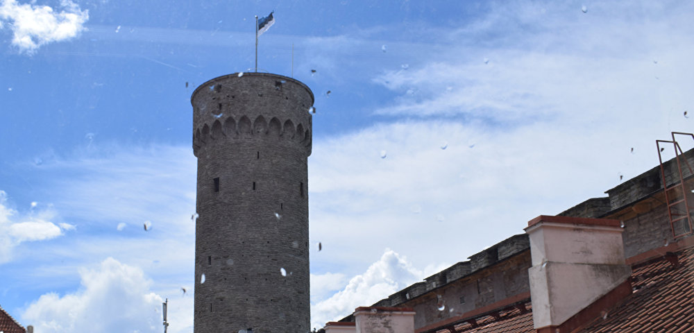 Вид из окна Рийгикогу на башню «Длинный Герман» 