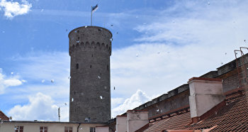 Вид из окна Рийгикогу на башню «Длинный Герман» 