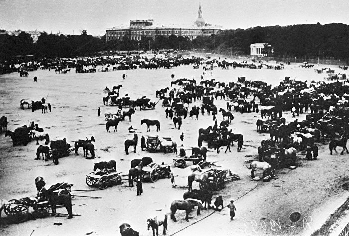 Прием лошадей для действующей армии в первые дни мобилизации во время первой мировой войны, 1914 год