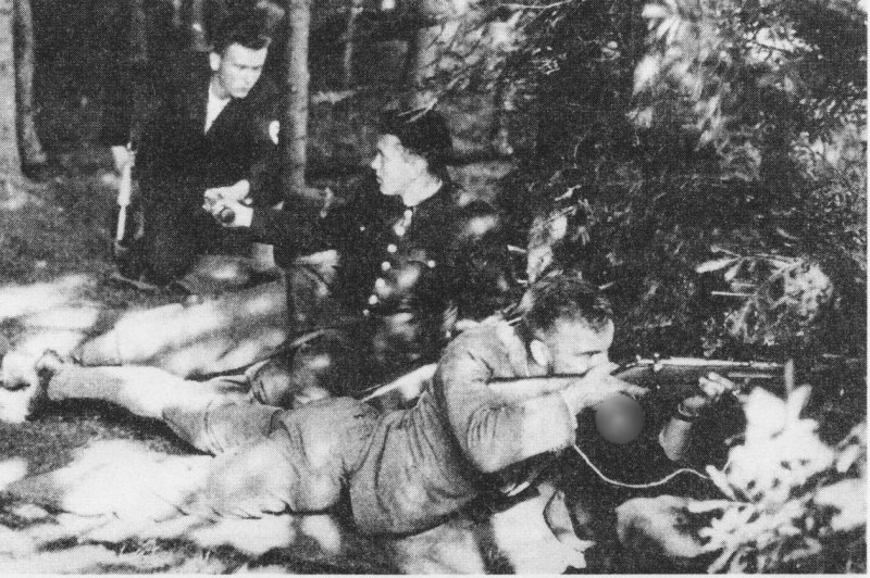 Добровольческий корпус судетских немцев в 1938 году