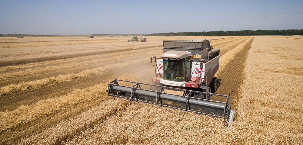 Уборка пшеницы на полях АО "Агрокомплекс" в Краснодарском крае.